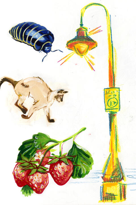 Wax pastel &amp; gouache studies