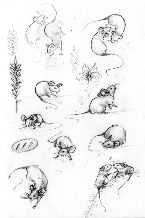 Mouse Sketches