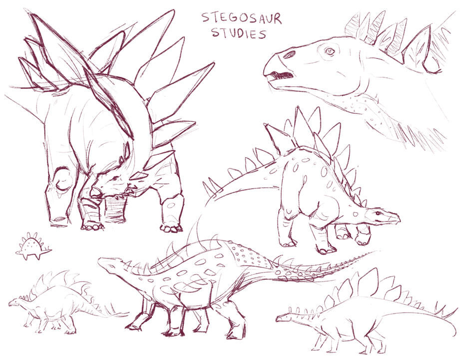 Stegosaur Studies