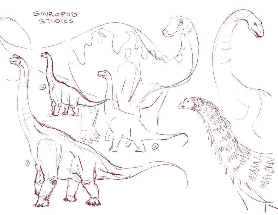 Sauropod Studies
